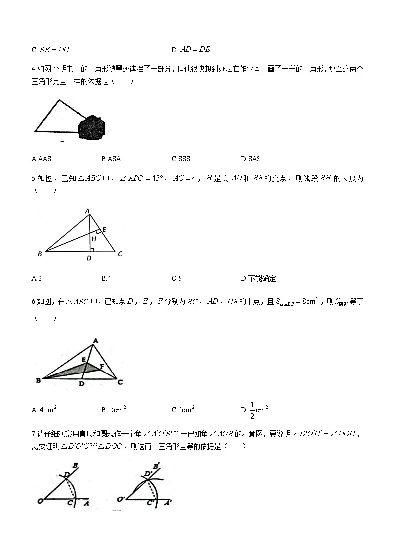 山东省临沂市莒南县2023-2024学年八年级上学期10月月考数学试题第2页