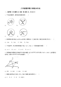 浙江省金华市义乌市2023-2024学年八年级上学期10月月考数学试题