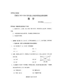 贵州省贵阳市花溪区2023-2024学年九年级上学期期中数学试卷