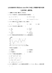 山东省泰安市宁阳县2023-2024学年八年级上学期期中数学试卷（五四学制）