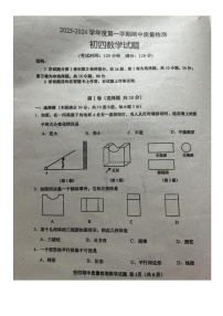 山东省青岛市莱西市2023-2024学年九年级上学期11月期中数学试题