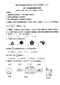 重庆市松树桥中学2023-2024学年九年级上学期数学期中试卷