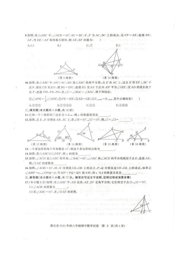 湖北省黄石市阳新县2023-2024学年八年级上学期11月期中数学试题02