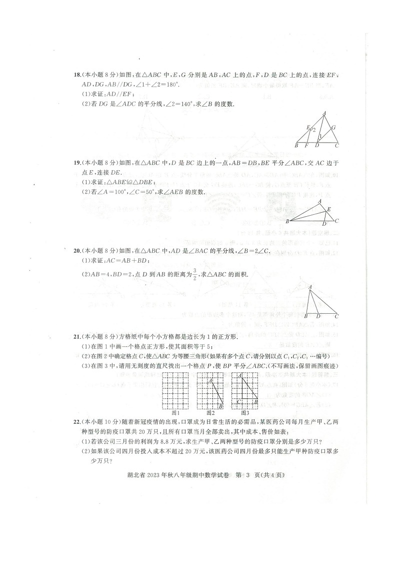 湖北省黄石市阳新县2023-2024学年八年级上学期11月期中数学试题03