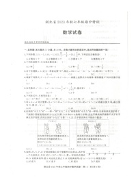 湖北省黄石市阳新县2023-2024学年七年级上学期11月期中数学试题