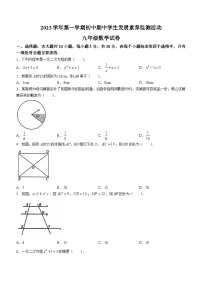 广东省清远市英德市2023-2024学年九年级上学期期中数学试题