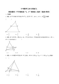 中考数学几何专项练习：相似模型--平行线构造“A、X”型相似三角形