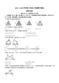 湖北省武汉市武珞路中学2023-2024学年八年级上学期期中数学试题