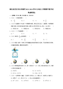 湖北省武汉市东西湖区2023-2024学年七年级上学期期中数学试卷