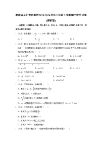 湖南省岳阳市临湘市2023-2024学年七年级上学期期中数学试卷