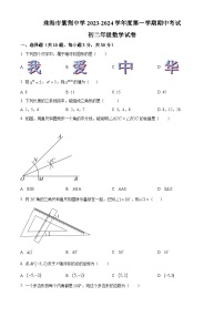 广东省珠海市紫荆中学2023-2024学年八年级上学期期中数学试题