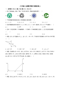 湖北省荆州市沙市区第十一中学2023-2024学年八年级上学期期中模拟数学试题