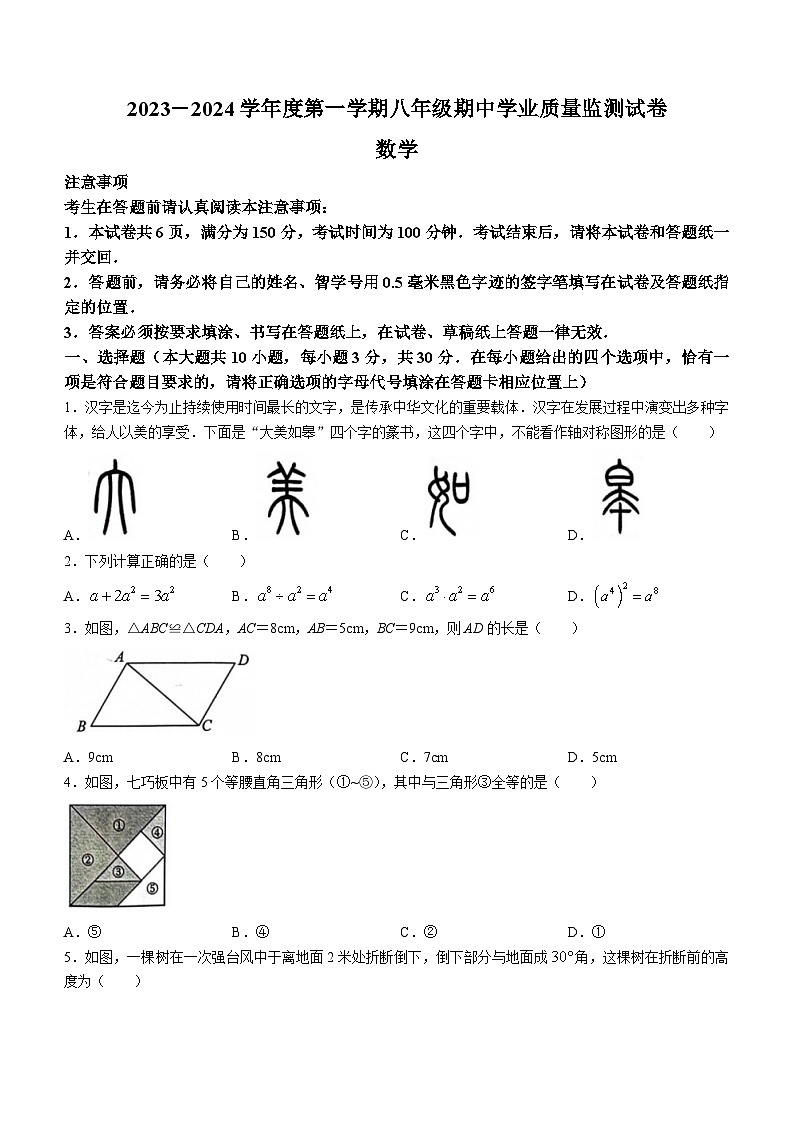 江苏省南通市如皋市2023-2024学年八年级上学期期中数学试题(无答案)第1页