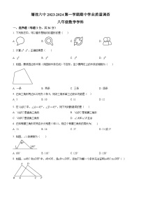 天津市滨海新区塘沽第六中学2023-2024学年八年级上学期期中数学试题