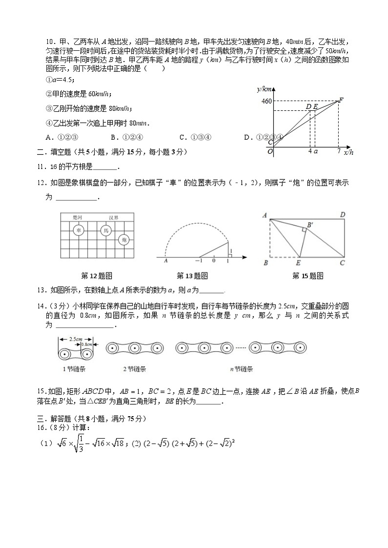 河南省郑州枫杨外国语学校2023-2024学年上学期八年级数学期中试卷02