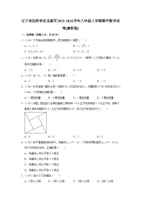 辽宁省沈阳市沈北新区2023-2024学年八年级上学期期中数学试卷