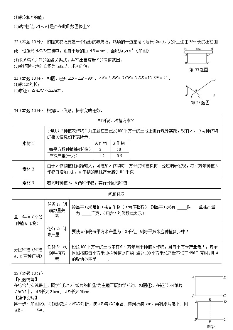 广西靖西市2023-2024学年上学期期中学科素养调研测九年级数学试卷03
