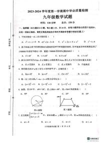 江苏省连云港市灌云县2023-2024学年九年级上学期11月期中数学试题