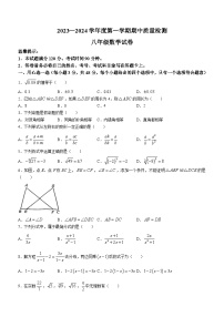 河北省唐山市乐亭县2023-2024学年八年级上学期期中数学试题