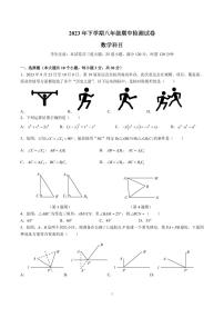 2023-2024-1雅礼集团八上期中考试数学试卷