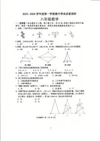 江苏省淮安市淮安区2023-—2024学年八年级上学期期中数学试卷