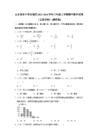 山东省济宁市任城区2023-2024学年八年级上学期期中数学试卷（五四制）