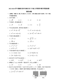 2023-2024学年福建省泉州市南安市八年级上学期期中数学质量检测模拟试题（含解析）