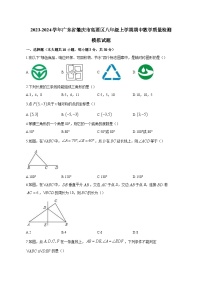 2023-2024学年广东省肇庆市高要区八年级上学期期中数学质量检测模拟试题（含解析）