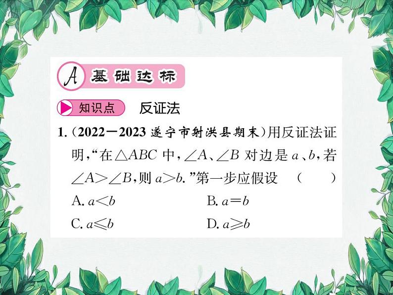 14.1.3 反证法 华东师大版八年级数学上册习题课件第2页