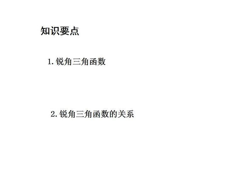 24.3.1 锐角三角函数第1课时锐角三角函数 华师大版数学九年级上册教学课件02