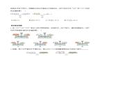 3.1.2 等式的性质（导学案）-2023-2024学年七年级数学上册同步精品备课（课件+教学设计+导学案）（人教版）