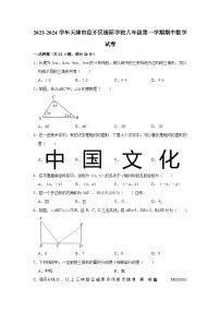 天津经济技术开发区国际学校2023-2024学年八年级上学期期中数学试卷