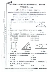 贵州省遵义市2023-2024学年八年级上学期11月期中数学试题