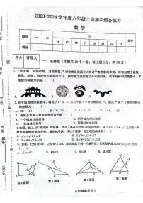 河南省信阳市淮滨县2023-2024学年八年级上学期11月期中数学试题