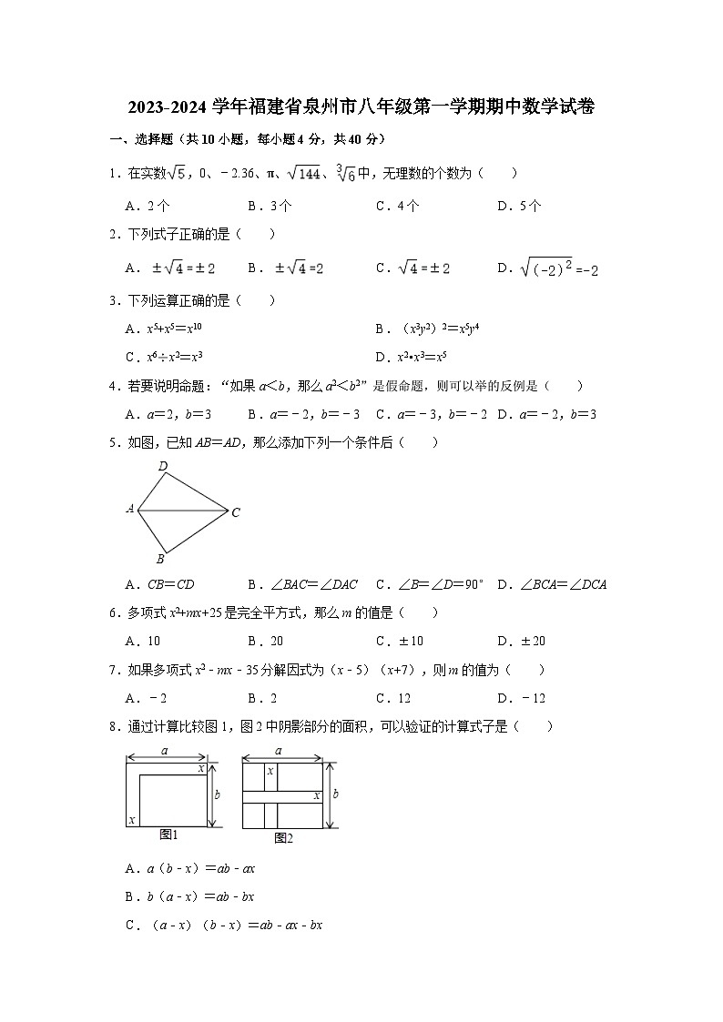 福建省泉州市永春县2023-2024学年八年级上学期期中数学试卷01