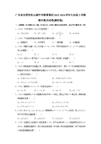 广东省东莞市松山湖中学教育集团2023-2024学年九年级上学期期中数学试卷