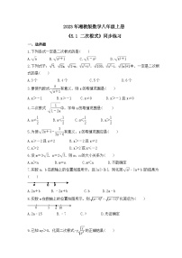 湘教版八年级上册5.1 二次根式优秀精练