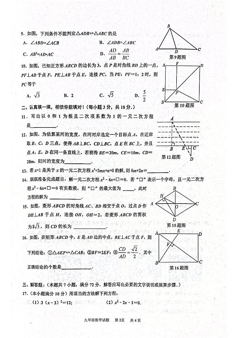 山东省枣庄市市中区2023-2024学年九年级上学期11月期中数学试题第2页