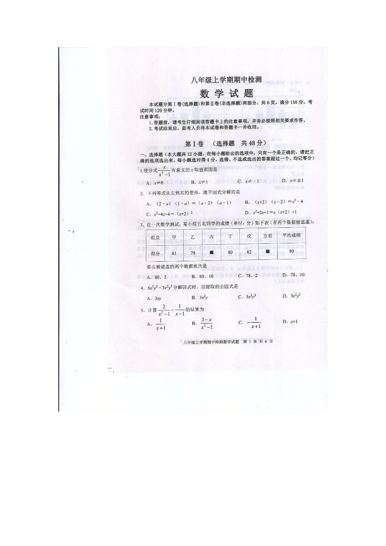 山东省泰安市新泰市2023-2024学年八年级上学期11月期中数学试题01