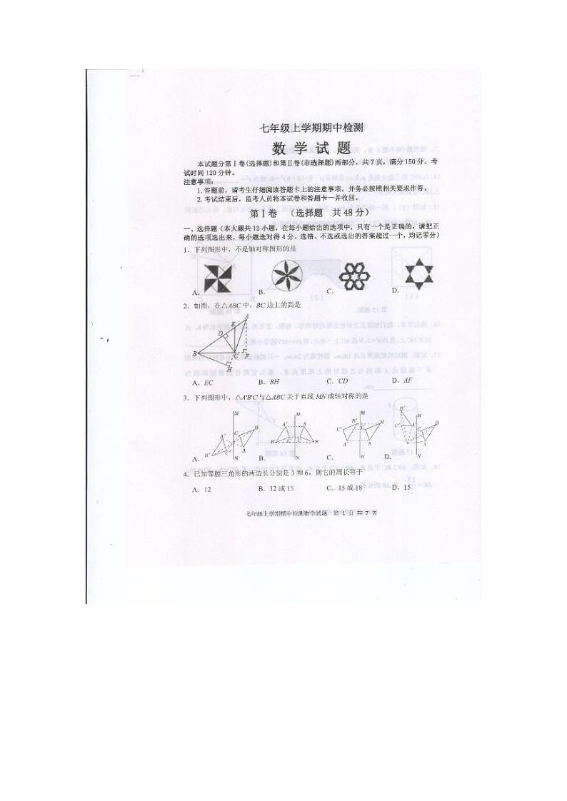 山东省泰安市新泰市2023-2024学年七年级上学期11月期中数学试题第1页
