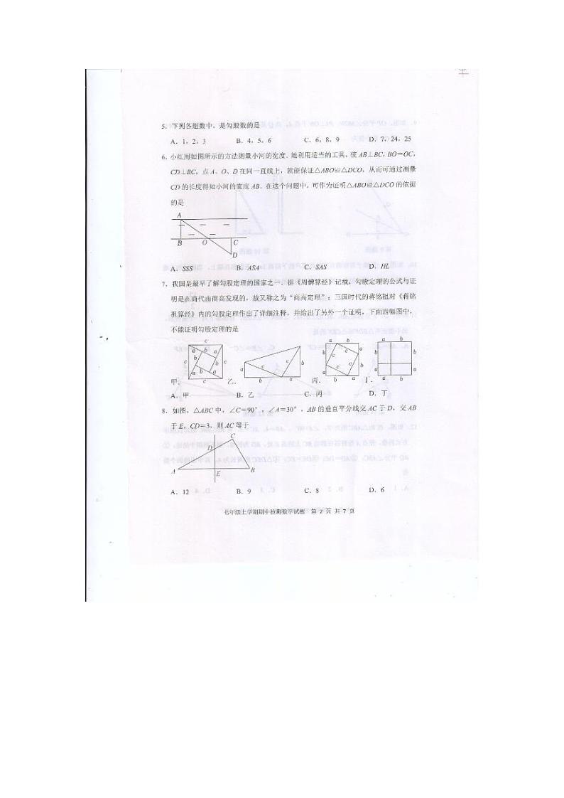 山东省泰安市新泰市2023-2024学年七年级上学期11月期中数学试题第2页