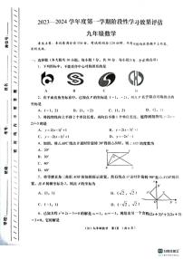 甘肃省陇南市武都区2023-2024学年九年级上学期11月期中数学试题