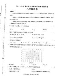 河南省平顶山市叶县2023-2024学年八年级上学期11月期中数学试题