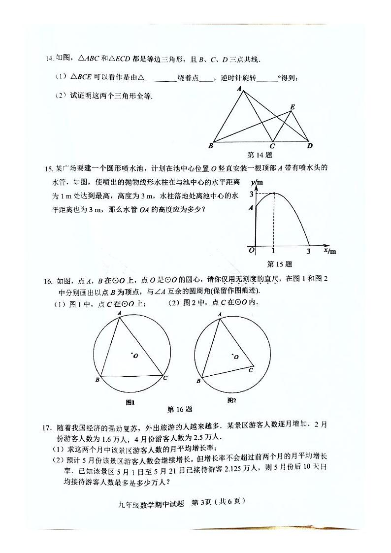 江西省赣州市章贡区2023-2024学年九年级上学期11月期中数学试题03