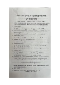 江苏省盐城市滨海县2023-2024学年七年级上学期11月期中数学试题