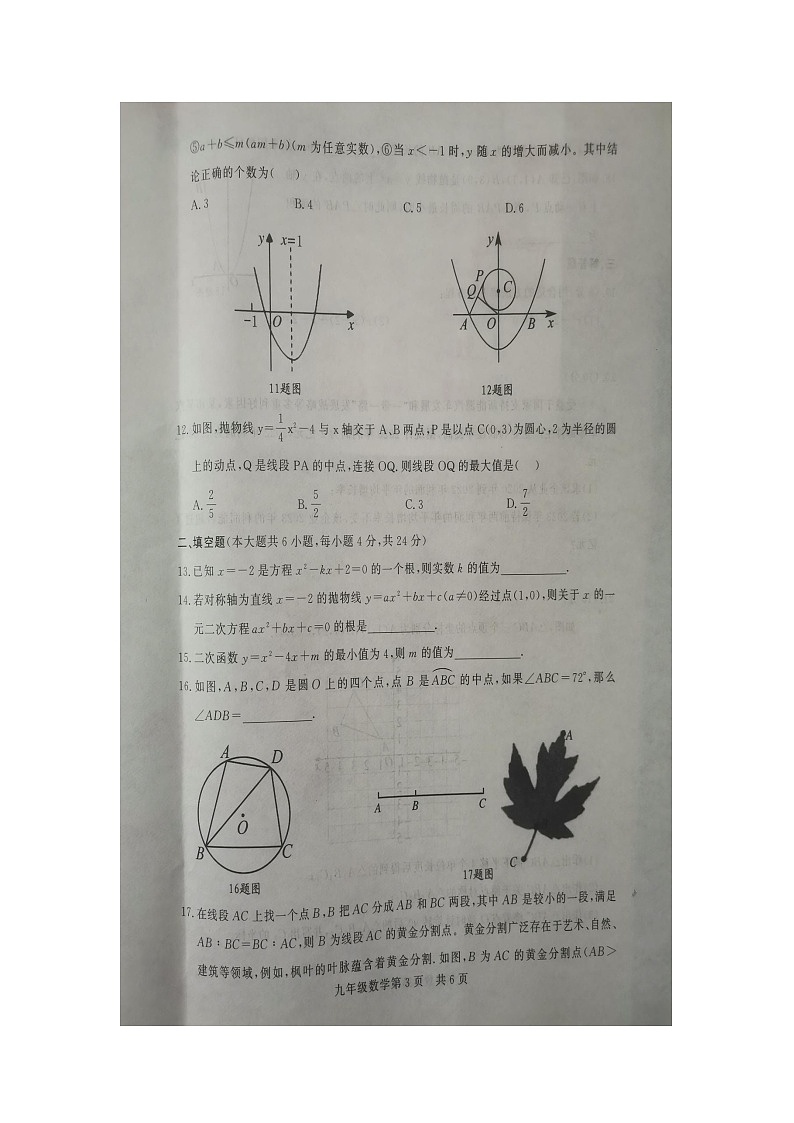 山东省德州市禹城市2023-2024学年九年级上学期11月期中数学试题03