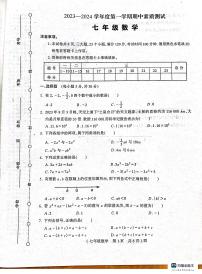 河南省驻马店市西平县2023-2024学年七年级上学期11月期中数学试题