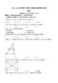 广东省佛山市顺德区龙江丰华初级中学2023-2024学年九年级上学期期中数学试题(无答案)