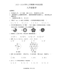 河南省新乡市长垣市2023—2024学年九年级上学期期中考试数学试卷