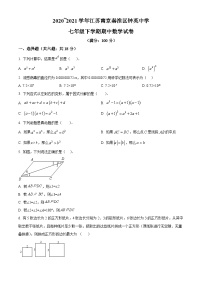 江苏省南京市秦淮区钟英中学2020-2021学年七年级下学期期中数学试题（原卷版）